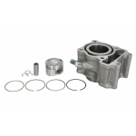 ΚΥΛΙΝΔΡΟΠΙΣΤΟΝΟ RMS.  RMS 10 008 0720.  HONDA FES 125, NES 125, PES 125, SES 125, SH 125, S-WING125.    2000-2012