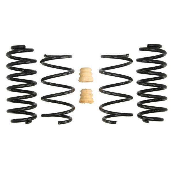 ΕΛΑΤΗΡΙΑ ΧΑΜΗΛΩΜΑΤΟΣ EIBACH Pro-Kit. (30-35mm / 25mm), SKODA SUPERB III. VW GOLF VII, PASSAT B8 1.4-Electric, 2014-...