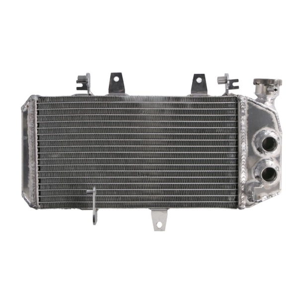 ΨΥΓΕΙΟ ΝΕΡΟΥ BMW F 650GS 2006–2012, F 700 GS 2011–2017, F 800R/800S/800ST/800GT 2004–2018.  RAD-738